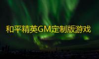 和平精英GM定制版游戏攻略